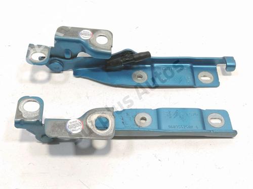 hingedoor-check-strap-citroen-c3-ii-sc_-2009-33231183 main image