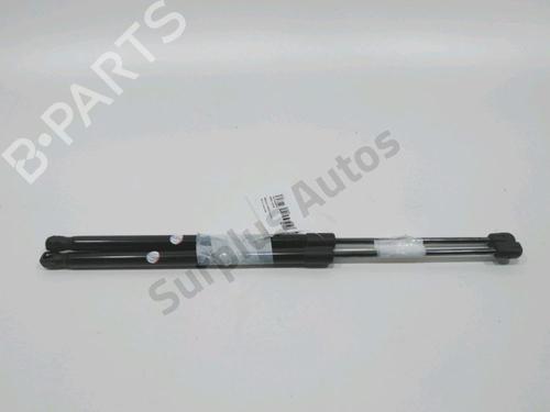 tailgate-lift-support-renault-scenic-ii-jm01_-2003-2004-2005-2006-2007-2008-2009-2010-31001967 main image