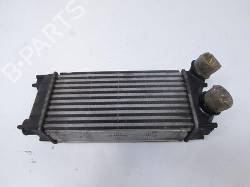 Used Intercooler Intercooler PEUGEOT 3008 I MPV (0U_) 1.6 HDi (112 hp) 28220519 28220519