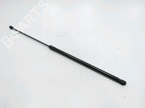 Amortecedor do capot VW JETTA III (1K2) 1.6 TDI (105 hp) 31180746