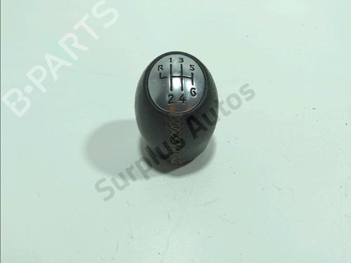 Girkule RENAULT SCÉNIC III (JZ0/1_) 1.5 dCi (110 hp) 32260712