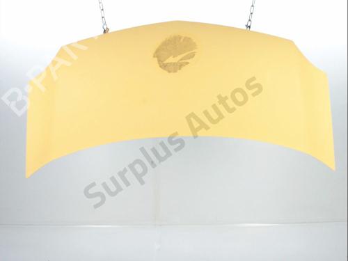 Motorhjelm RENAULT KANGOO Express (FW0/1_) Z.E. (FW0Z, FW1Z) (60 hp) 31207627