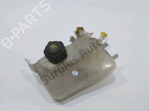ekpansionstank-renault-fluence-l3_-2010-30986446 main image