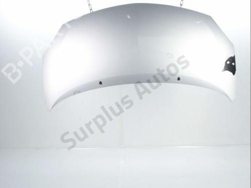 Used Hood RENAULT TWINGO II (CN0_) 1.2 16V (CN04, CN0B) (75 hp) 28237354