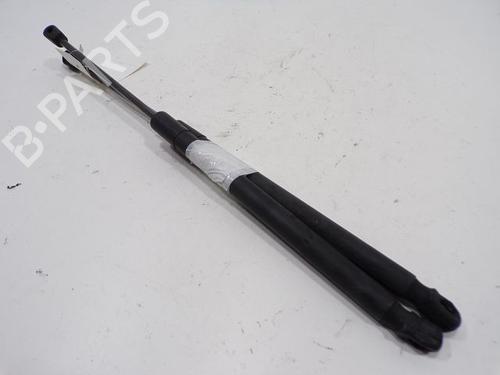 Used Tailgate lift support VW GOLF PLUS V (5M1, 521) 1.9 TDI (105 hp) 31001796