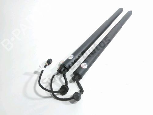 Used Tailgate lift support FIAT 600e / 600 (365_, 364_) Mild Hybrid (136 hp) 32694633