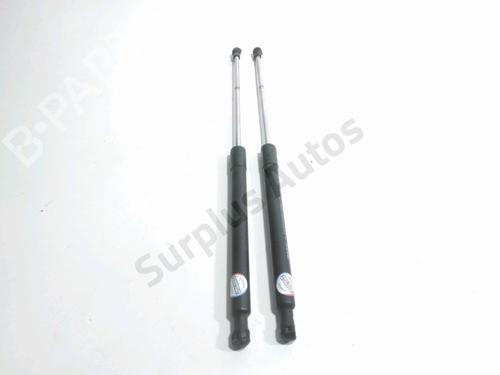 tailgate-lift-support-renault-laguna-coupe-dt01-2008-2009-2010-2011-2012-2013-2014-2015-32311287 main image