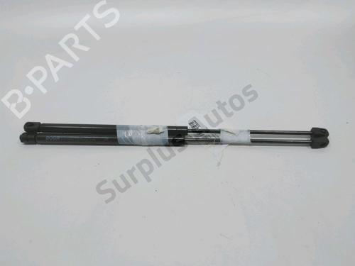 Tailgate lift support MERCEDES-BENZ A-CLASS (W168) A 170 CDI (168.009, 168.109) | BP31001974C138