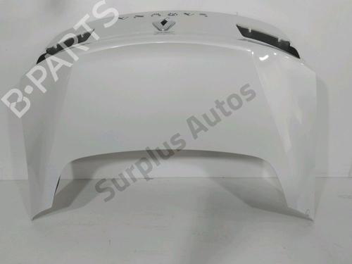 Used Tailgate RENAULT LAGUNA Coupe (DT0/1) 2.0 dCi (DT01, DT08, DT09, DT0K, DT12, DT1C, DT1D, DT1M,... (150 hp) 31001545