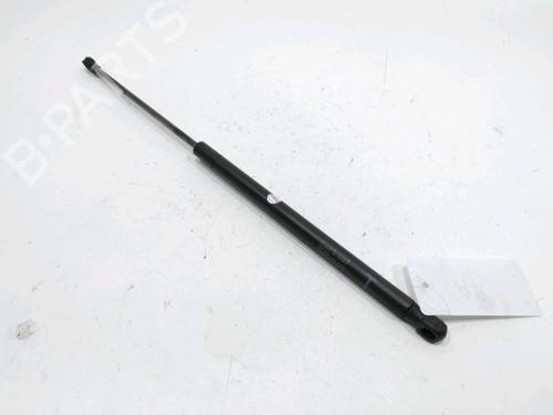 tailgate-lift-support-toyota-aygo-_b1_-2005-2006-2007-2008-2009-2010-2011-2012-2013-2014-31002012 main image