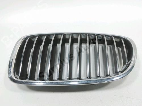 Used Grille BMW 5 (F10) 525 d (204 hp) 30993201