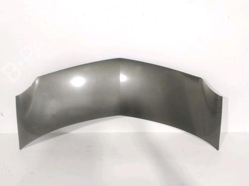 hood-renault-modus-grand-modus-fjp0_-2004-30993611 main image