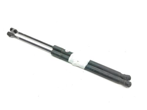 Used Tailgate lift support VW GOLF PLUS V (5M1, 521) 1.9 TDI (105 hp) 31001830