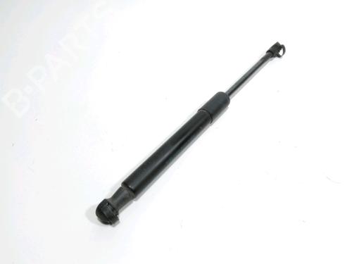 Used Hood lift support AUDI Q5 (8RB) 2.0 TDI quattro (170 hp) 28237705