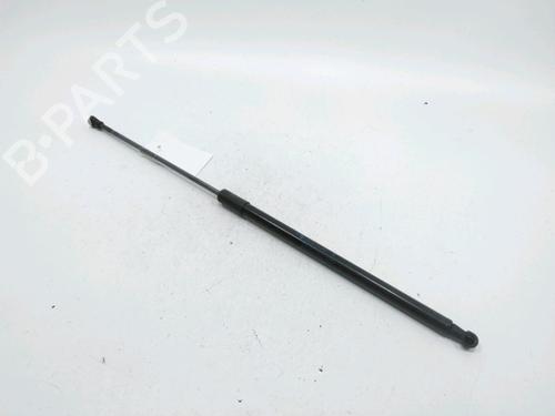 Gasfjeder motorhjelm DACIA DUSTER (HM_) 1.5 dCi 115 4x4 (HMAD) (116 hp) 30993809