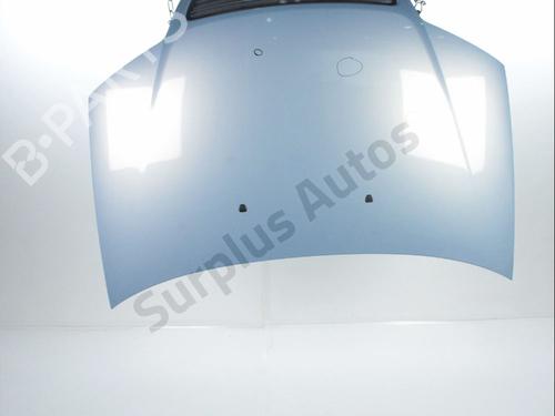 Capot FIAT PUNTO (188_) 1.3 JTD 16V (70 hp) 28237224