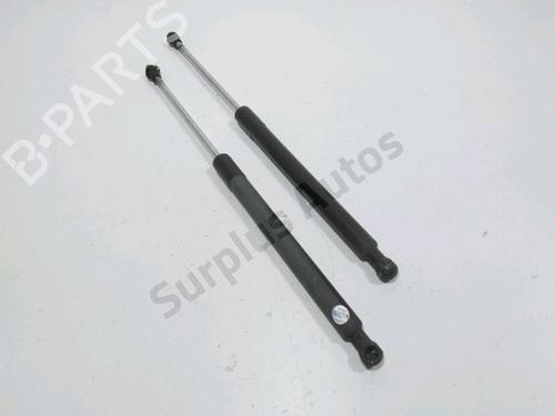 Gasdæmper bagklap RENAULT CLIO III (BR0/1, CR0/1) 1.2 16V Hi-Flex (BR1U, CR1U) (75 hp) 31608168