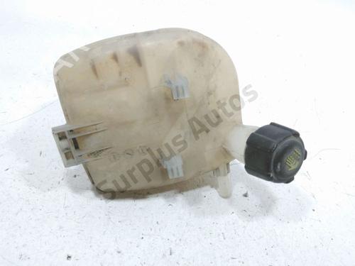 Used Expansion tank RENAULT TWINGO II (CN0_) 1.2 16V (CN0K, CN0V, CN0A) (76 hp) 30986443