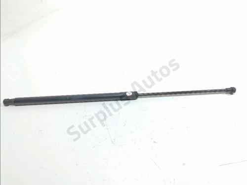 hood-lift-support-dacia-duster-hs_-2010-2011-2012-2013-2014-2015-2016-2017-2018-39260153 main image