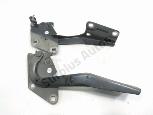 hingedoor-check-strap-renault-megane-iii-hatchback-bz01_-b3_-2008-34503948 main image