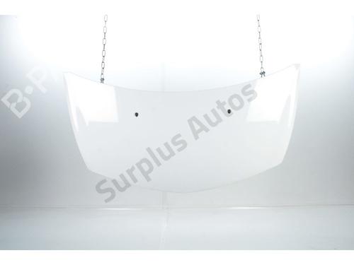 Used Hood RENAULT CLIO III (BR0/1, CR0/1) 1.5 dCi (75 hp) 32077838