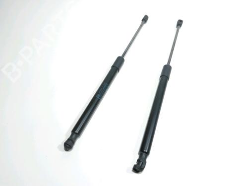 Used Tailgate lift support CITROËN C3 AIRCROSS II (2R_, 2C_) 1.2 PureTech 110 (2RHNZB, 2RHNZW, 2RHNPX, 2RHNPJ) (110 hp) 29859441