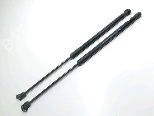 tailgate-lift-support-citroen-ds4-nx_-2011-2012-2013-2014-2015-28261045 main image