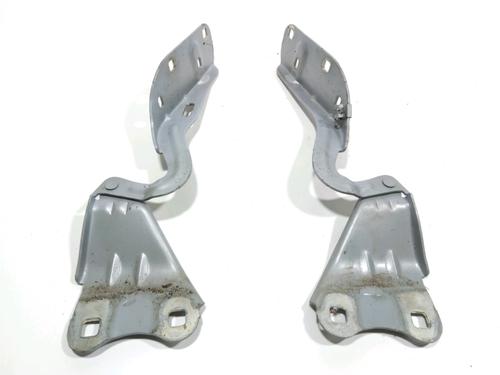 Used Hinge/Door check strap RENAULT WIND (E4M_) 1.2 (E4MF) (101 hp) 28237495