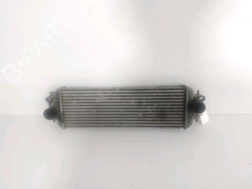 Intercooler RENAULT TRAFIC II Van (FL) 1.9 dCi 100 (FL0C, FL0K, FL0B) (101 hp) 30984308