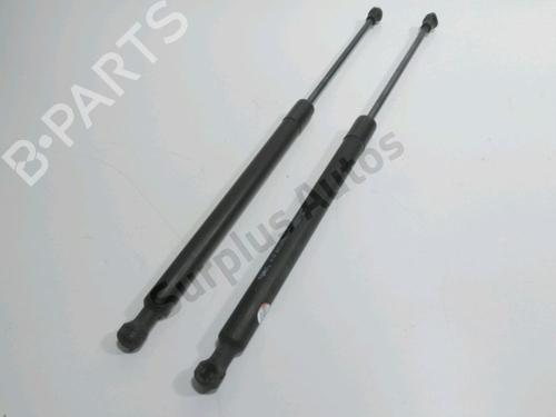 tailgate-lift-support-peugeot-208-i-ca_-cc_-2012-2013-2014-2015-2016-2017-2018-2019-2020-2021-30450276 main image