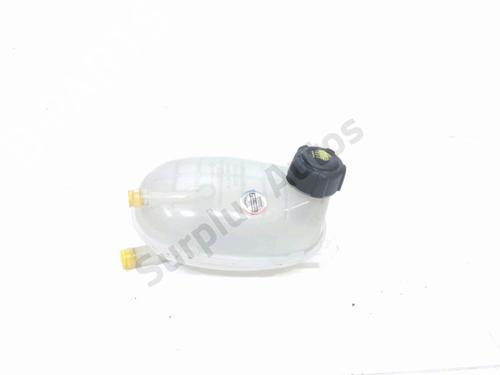 Used Expansion tank Expansion tank RENAULT SYMBIOZ 1.6 E-Tech 145 (143 hp) 36509011 36509011