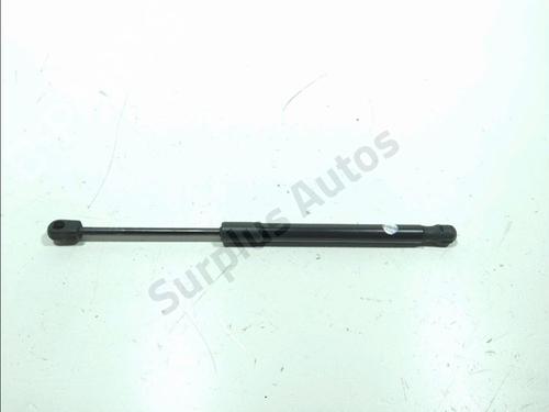 hood-lift-support-tesla-model-3-5yj3-2017-36519166 main image
