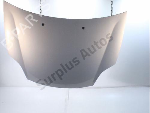 Used Hood FIAT BRAVO II (198_) 1.6 D Multijet (198AXM1B) (90 hp) 29602957