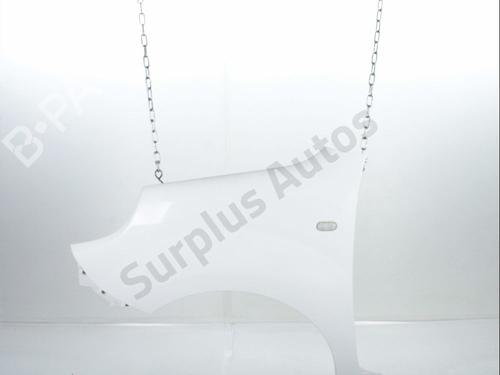 Used Left front fenders RENAULT KANGOO Express (FW0/1_) 1.5 dCi 95 (FW16) (95 hp) 31368207