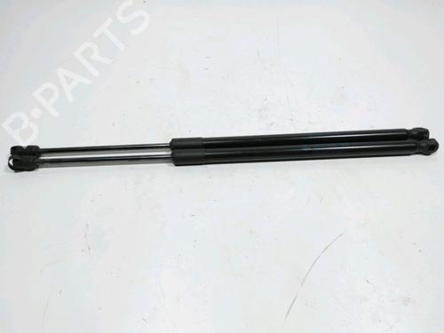 Used Tailgate lift support FIAT 500L (351_, 352_) 1.4 (199LYB1B) (95 hp) 29859448