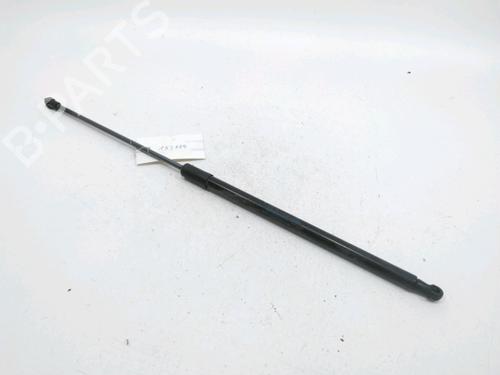 Used Hood lift support DACIA DUSTER (HM_) 1.5 dCi 115 4x4 (HMAD) (116 hp) 30993777