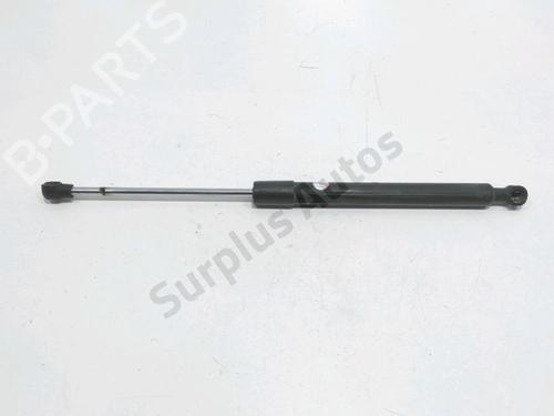 hood-lift-support-renault-clio-iv-bh_-2012-2013-2014-2015-2016-2017-2018-2019-2020-2021-33713851 main image