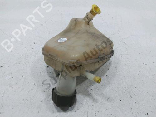 Ekpansionstank RENAULT TWINGO II (CN0_) 1.2 16V (CN04, CN0B) | BP30986451C120