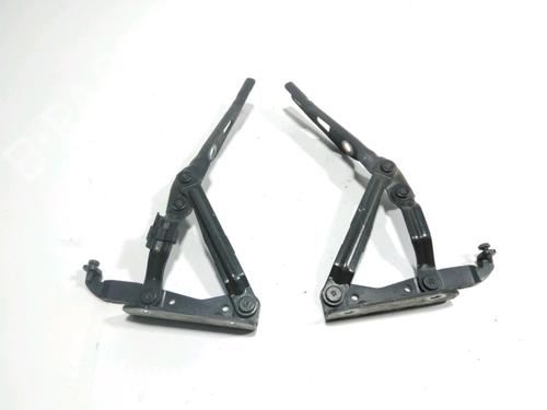 Used Hinge/Door check strap VW EOS (1F7, 1F8) 1.4 TSI (160 hp) 28237488