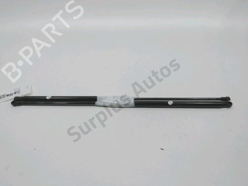 tailgate-lift-support-nissan-juke-f15-2010-2011-2012-2013-2014-2015-2016-2017-2018-2019-31001988 main image