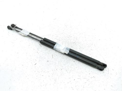 Used Tailgate lift support RENAULT SCÉNIC II (JM0/1_) 1.9 dCi (JM14) (131 hp) 31001798