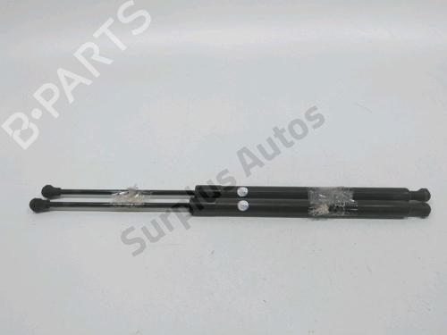 Used Tailgate lift support RENAULT SCÉNIC III (JZ0/1_) 1.5 dCi (110 hp) 31002002