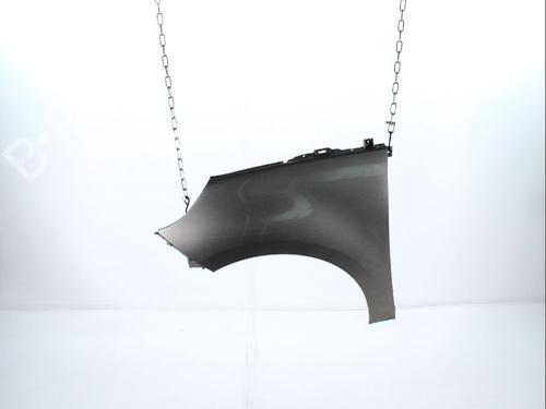 Used Left front fenders RENAULT SCÉNIC III (JZ0/1_) 1.5 dCi (86 hp) 28235975