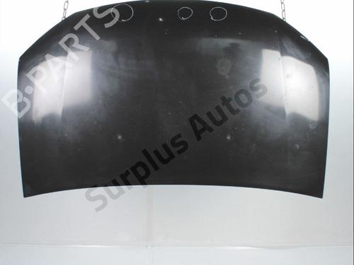 hood-dacia-sandero-ii-2012-37291824 main image