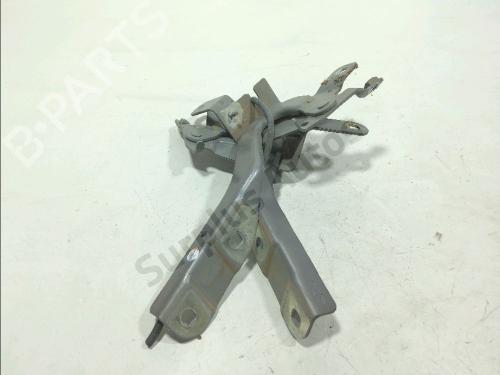 hingedoor-check-strap-renault-clio-iv-bh_-2012-2013-2014-2015-2016-2017-2018-2019-2020-2021-40464733 main image