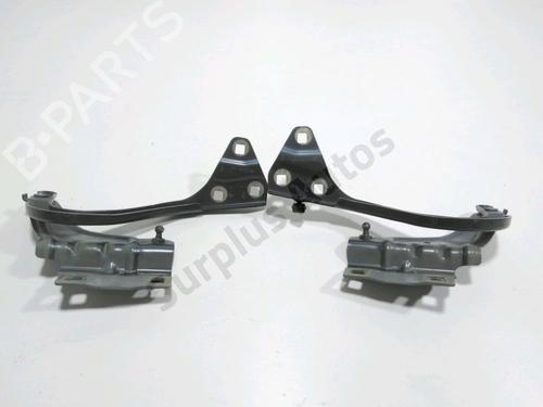 hingedoor-check-strap-renault-megane-iv-hatchback-b9amn_-2015-40059781 main image