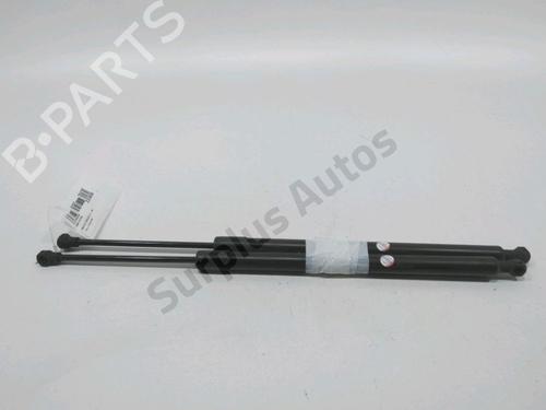 Used Tailgate lift support RENAULT MODUS / GRAND MODUS (F/JP0_) 1.2 (JP0C, JP0K, FP0C, FP0K, FP0P, JP0P, JP0T) (75 hp) 31002003