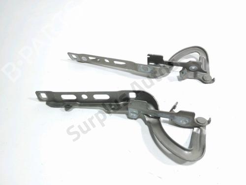 hingedoor-check-strap-peugeot-208-i-ca_-cc_-2012-2013-2014-2015-2016-2017-2018-2019-2020-2021-36593261 main image