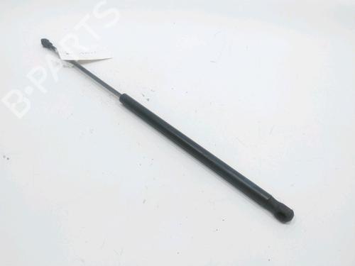 tailgate-lift-support-citroen-c1-pm_-pn_-2005-2006-2007-2008-2009-2010-2011-2012-2013-2014-31001906 main image