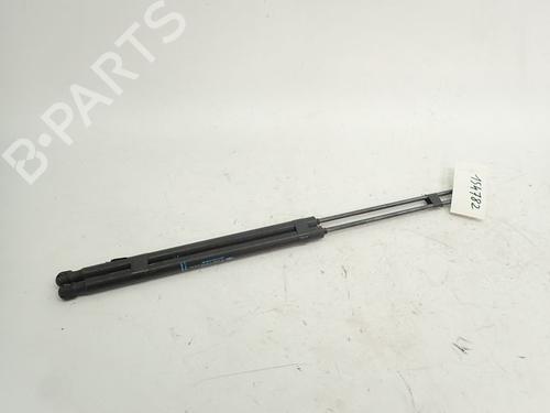 tailgate-lift-support-citroen-c4-picasso-i-mpv-ud_-2006-2007-2008-2009-2010-2011-2012-2013-2014-2015-31001775 main image